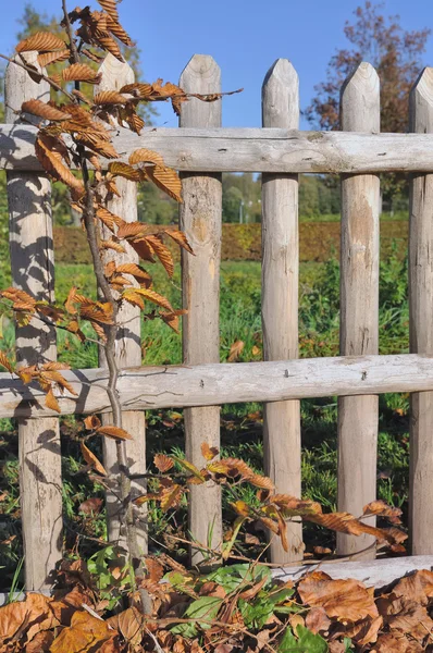 Trästaket — Stockfoto