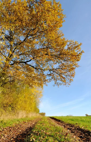 Landstraße — Stockfoto