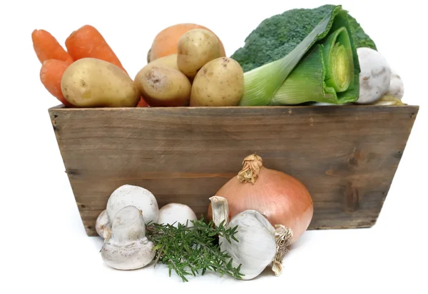 Warzywa do zupy — Zdjęcie stockowe