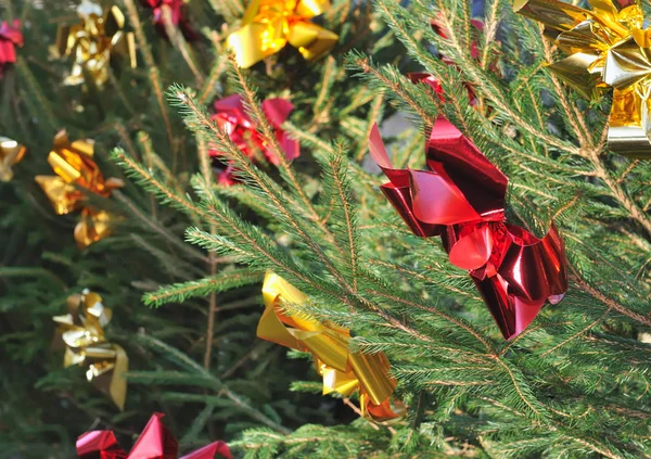 Árvores de Natal — Fotografia de Stock