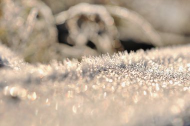 closeup Frost'un üzerinde