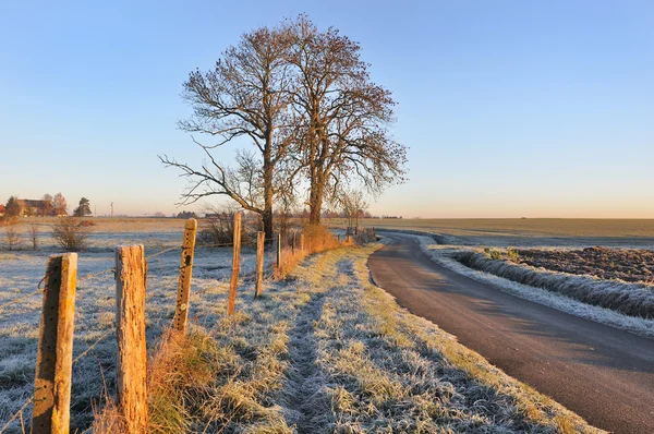 Alba in campagna — Foto Stock