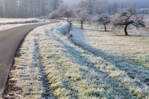 Campagne en hiver — Photo