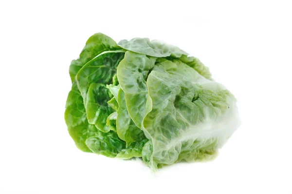 Сукриновый салат , — стоковое фото