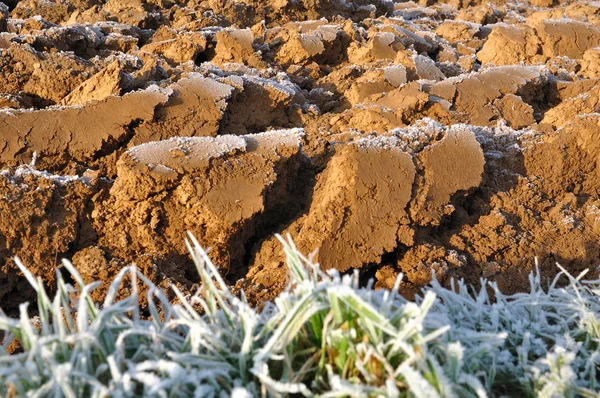 Clods covered by frost — Stock Photo, Image
