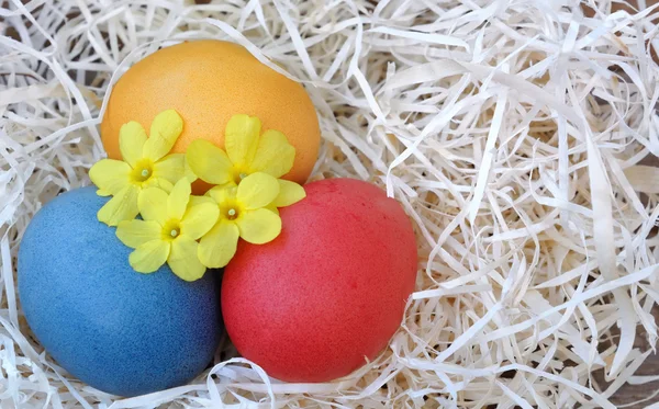 Huevos de Pascua y flores — Foto de Stock