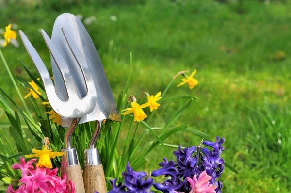 Spring flowers and tools — Stock Photo, Image