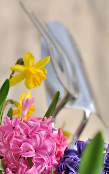 Flores de primavera e ferramentas — Fotografia de Stock