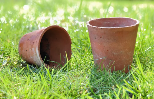 Terracotta potten in tuin — Stockfoto
