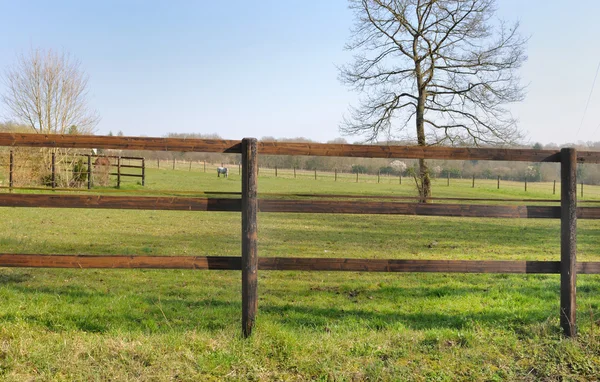 Wooden fence — Stock Photo, Image