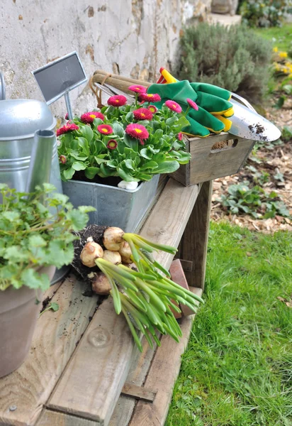 Spring gardening — Stock Photo, Image