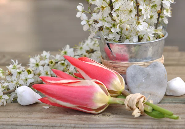 Romantic spring — Stock Photo, Image