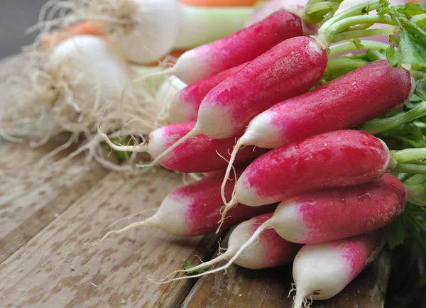 Fresh  pink radish — Stock Photo, Image