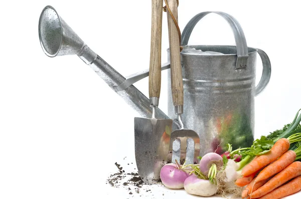 Warzywa z ogrodu z narzędzia — Zdjęcie stockowe