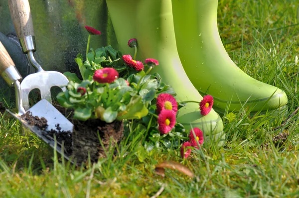 Boots for gardening — Stock Photo, Image