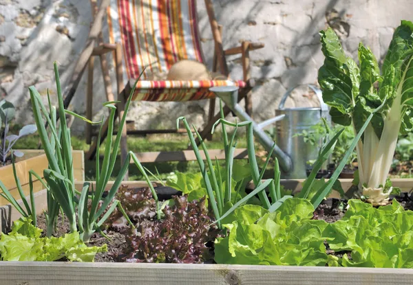 Bersantai di kebun sayur — Stok Foto