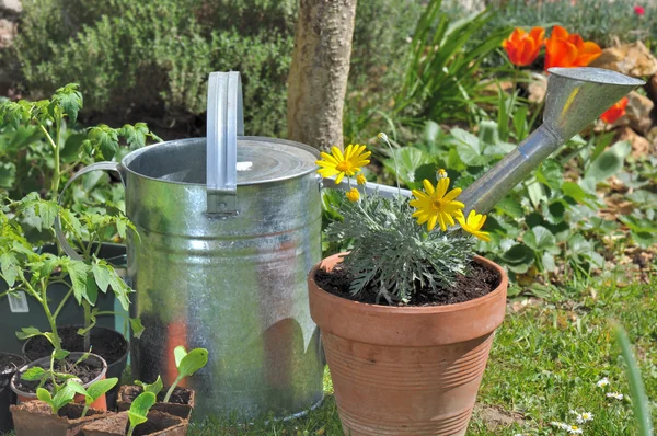 植木鉢の水まき缶 — ストック写真