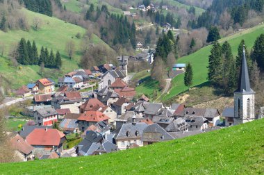 chartreuse (Fransa Köyü)