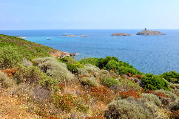 Córcega paisaje (Haute-Corse ) — Foto de Stock