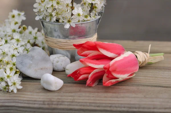 Kleine rode tulpen — Stockfoto