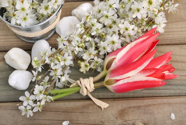 Pequeño ramo de tulipanes —  Fotos de Stock