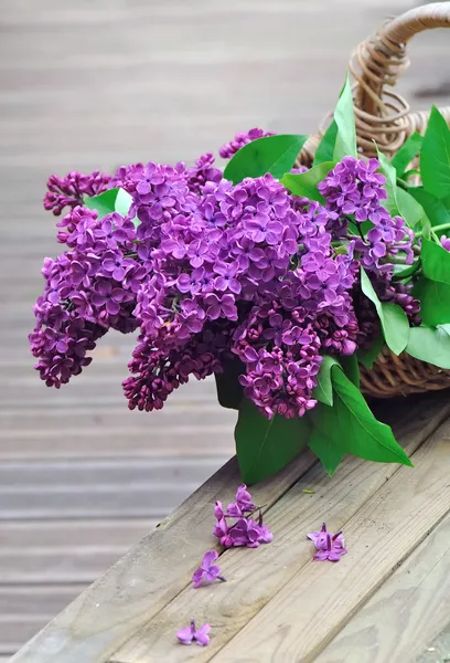 Flores de lila en una canasta de mimbre — Foto de Stock