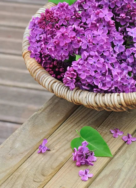 Lilac flowers in a wicker basket — Stock Photo, Image