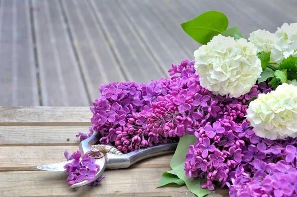 Flower on terrace — Stock Photo, Image