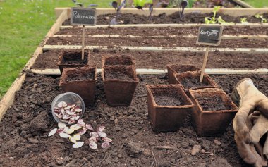 fidanlar için saksılar