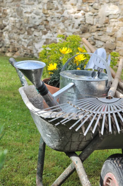 Gartenarbeit — Stockfoto