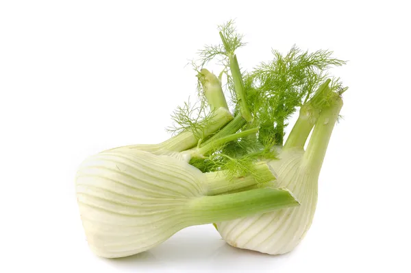 Fennel — Stock Photo, Image