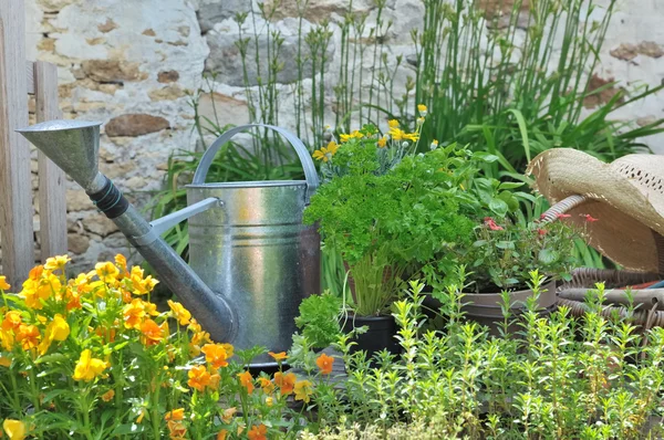 Aromatic herbs and accessories for gardening — Stock Photo, Image
