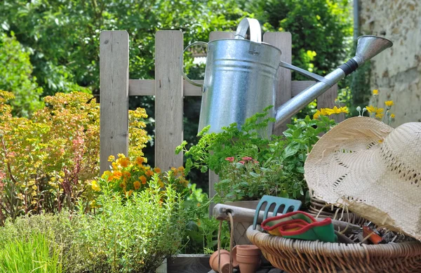 Gerdening basket and watering can — Stock Photo, Image