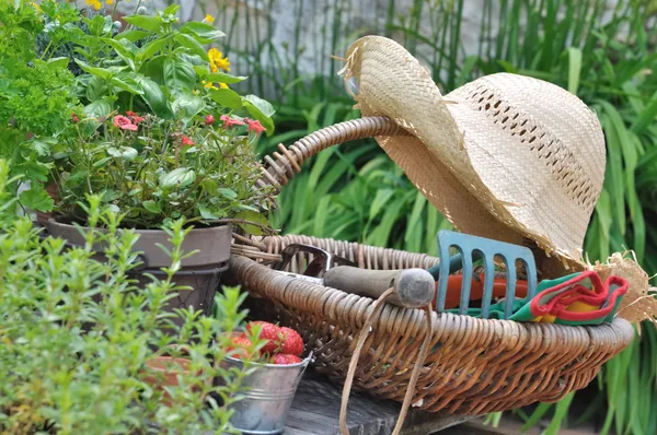 Gardening basket — Stock Photo, Image