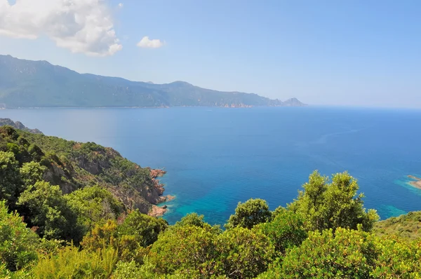 Corsica landschap — Stockfoto