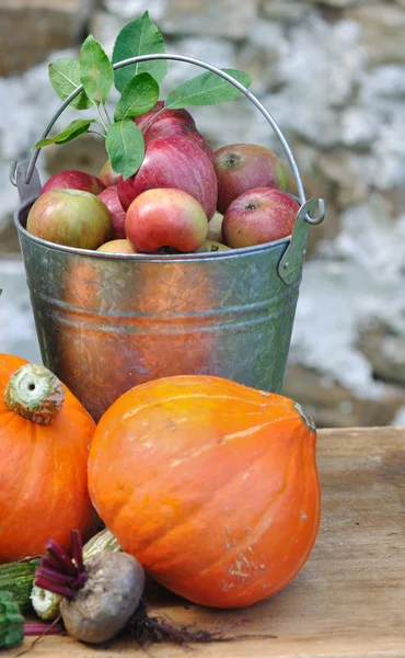 Apples and pumpkins — Stock Photo, Image