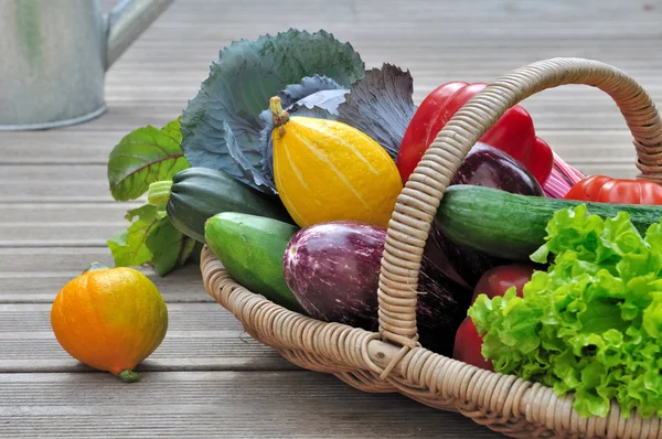 Panier de légumes — Photo