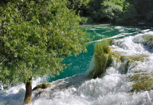 Água de uma cachoeira — Fotografia de Stock