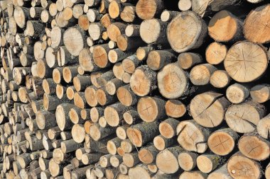 Yığılmış odun yığını ve bir taban oluşturur 