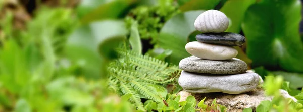 Stack Pebbles Green Plant Background — Stock Photo, Image