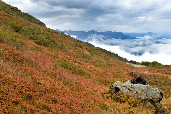 Paisagem Outonal Montanha Dos Alpes Com Arbusto Vermelho Vista Sobre — Fotografia de Stock