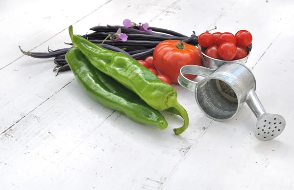 Verduras bonitas — Foto de Stock