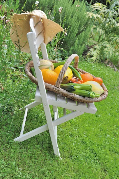 Vegetables on a chair — Stock Photo, Image