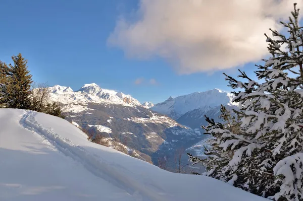 Tracce Neve Fresca Sentiero Con Abete Ricoperto Neve Cima Alla — Foto Stock