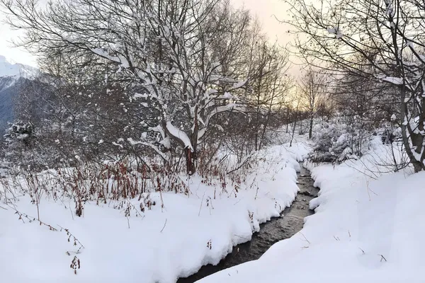 Little River Crossing Snowy Forest — Stock Photo, Image