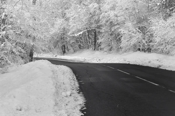 Road Forest Trees Covered Frost Alpine Mountain — Stock Photo, Image