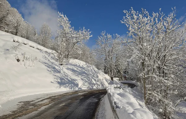 Carretera Que Cruza Bosque Alpino Cubierto Nieve Montaña Europea —  Fotos de Stock