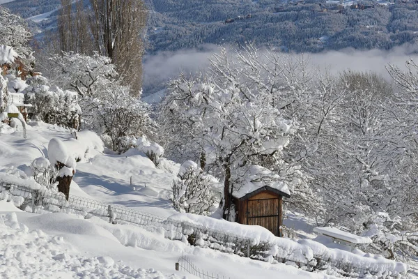 Wooden Cabin Alpine Garden Covered Fresh Snow Mountain Landscape — Foto Stock