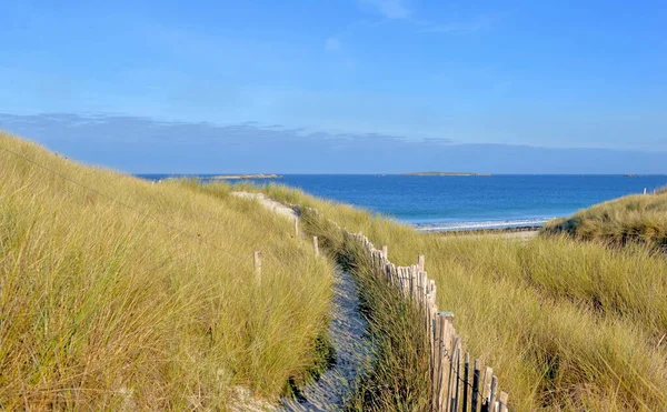 Footpath Grassy Dunes Bordered Wooden Fence Sea Finistere Brittany — Stock Photo, Image