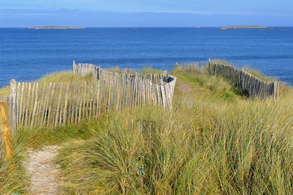 Chodnik Trawiastych Wydmach Graniczących Drewnianym Płotem Nad Morzem Finistere Bretanii — Zdjęcie stockowe